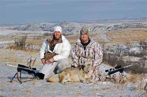 hunting coyotes in utah